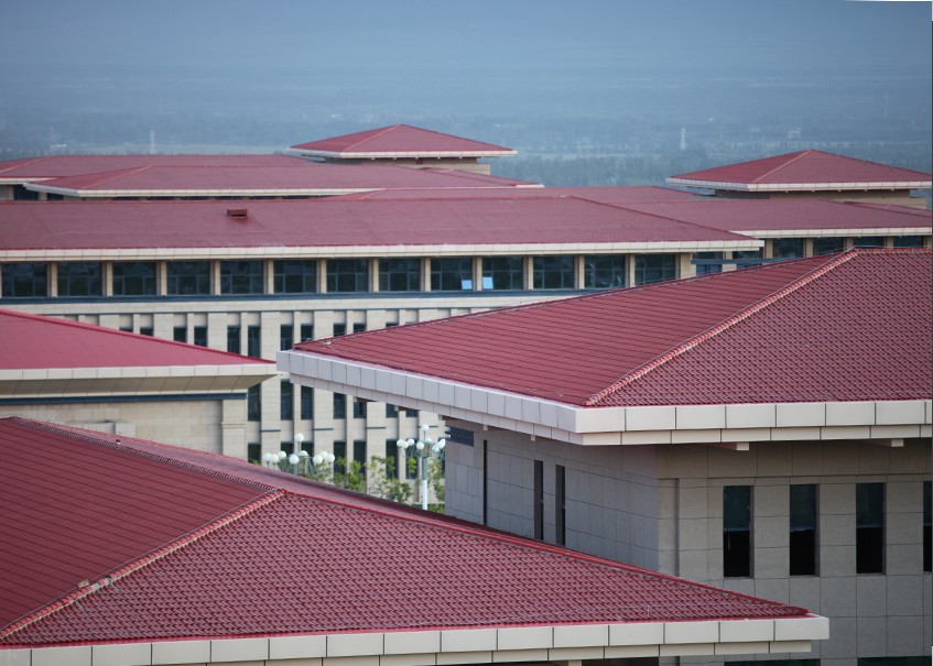 参差有致（新疆庆华集团）